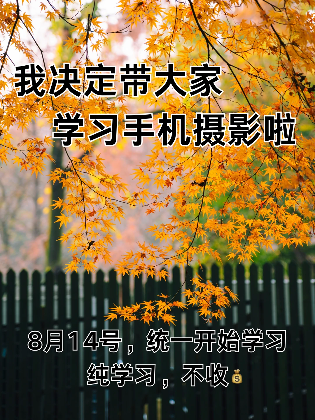 我决定带大家学习手机摄影啦！！