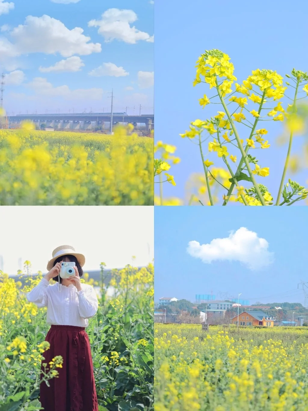 武汉油菜花海，闯入宫崎骏动漫（附调色）