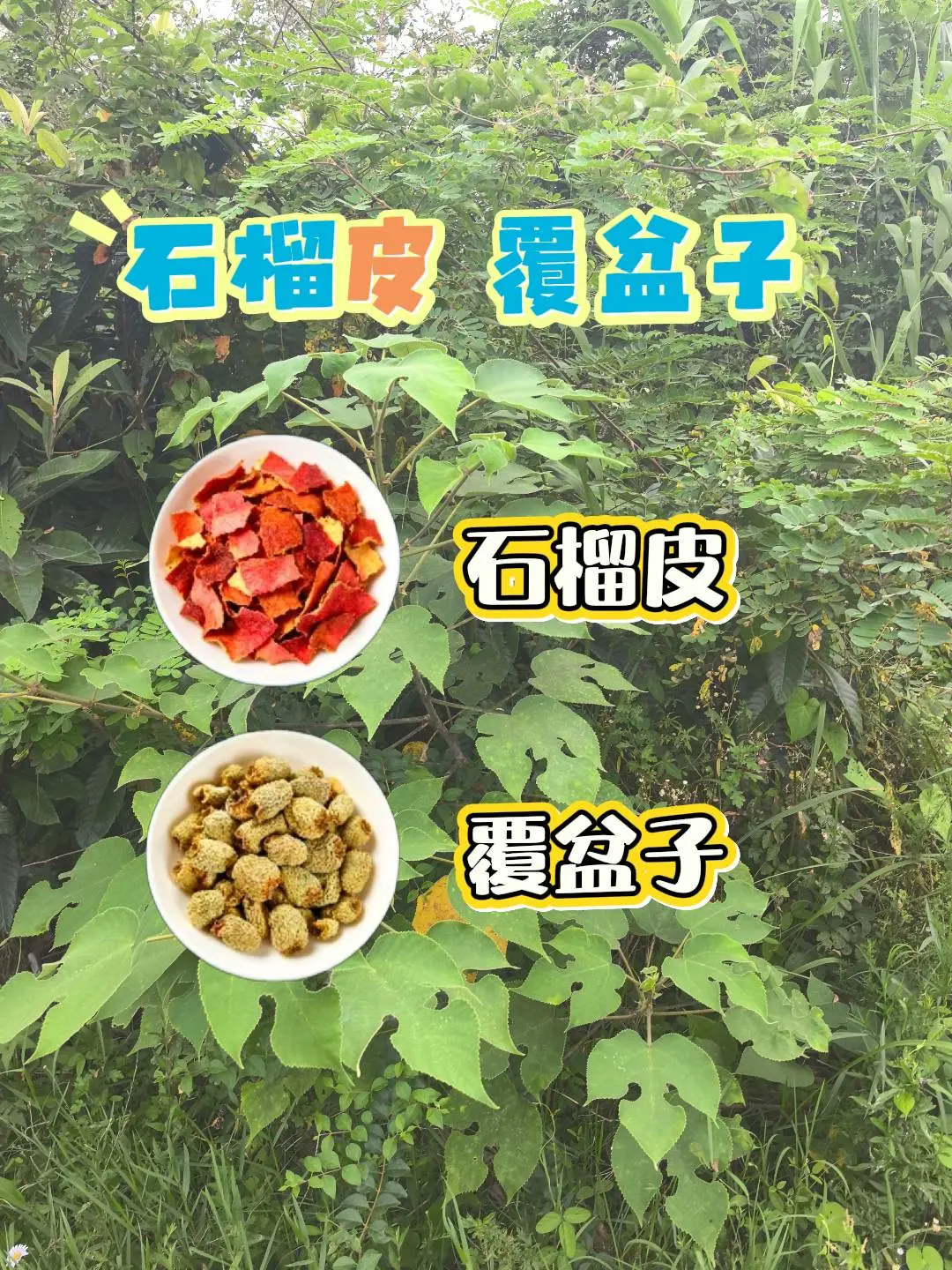 马刺还是太年轻了，关键失误&amp;绝杀不中，马刺主场再负尼克斯
