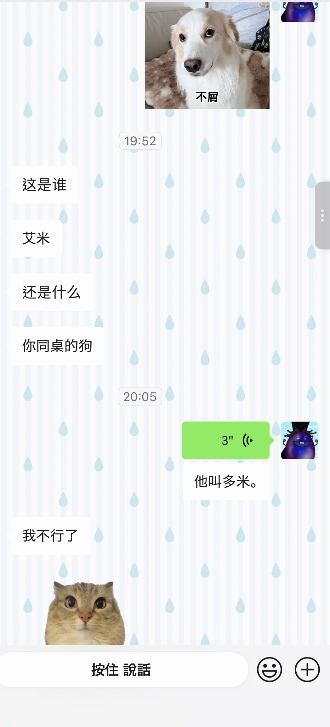 no艾米 ​