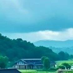 日上危楼，帘卷新愁。尽无言、终日重游。百年强半，霜鬓搔头。叹梦如寄，身...