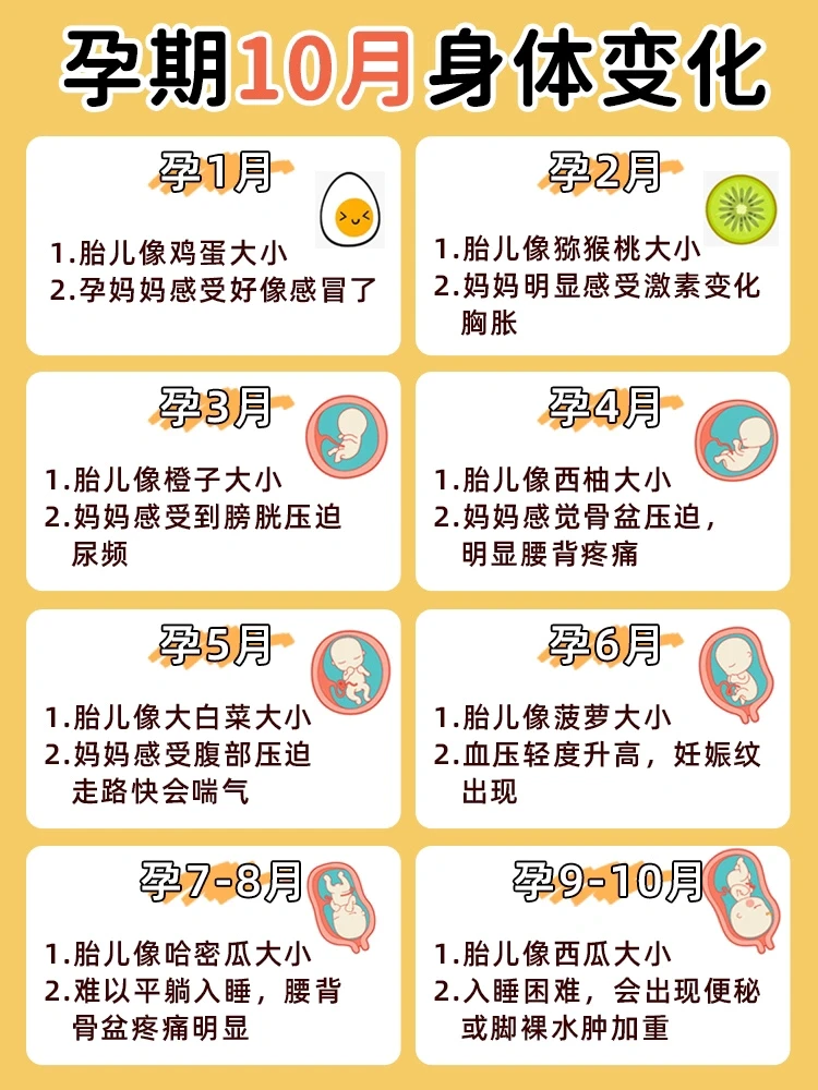 孕期，这些事情你要知道⁉️新手妈妈收藏🔥
