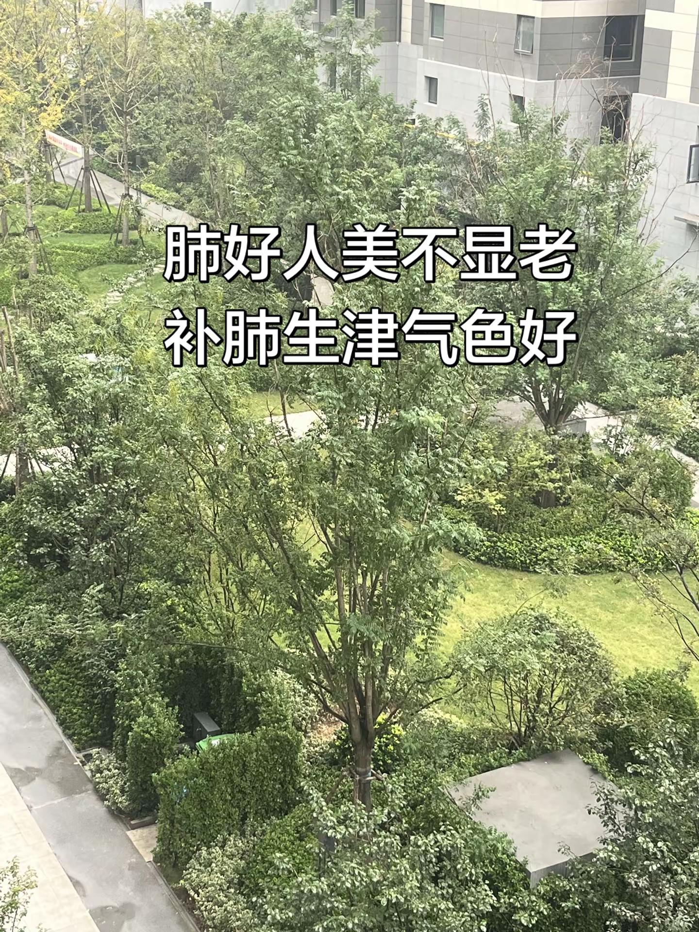 少年意气挥如剑问鼎乒坛天下惊！国乒男团3:0横扫日本队夺得伦敦世乒赛团体冠军！12连冠！