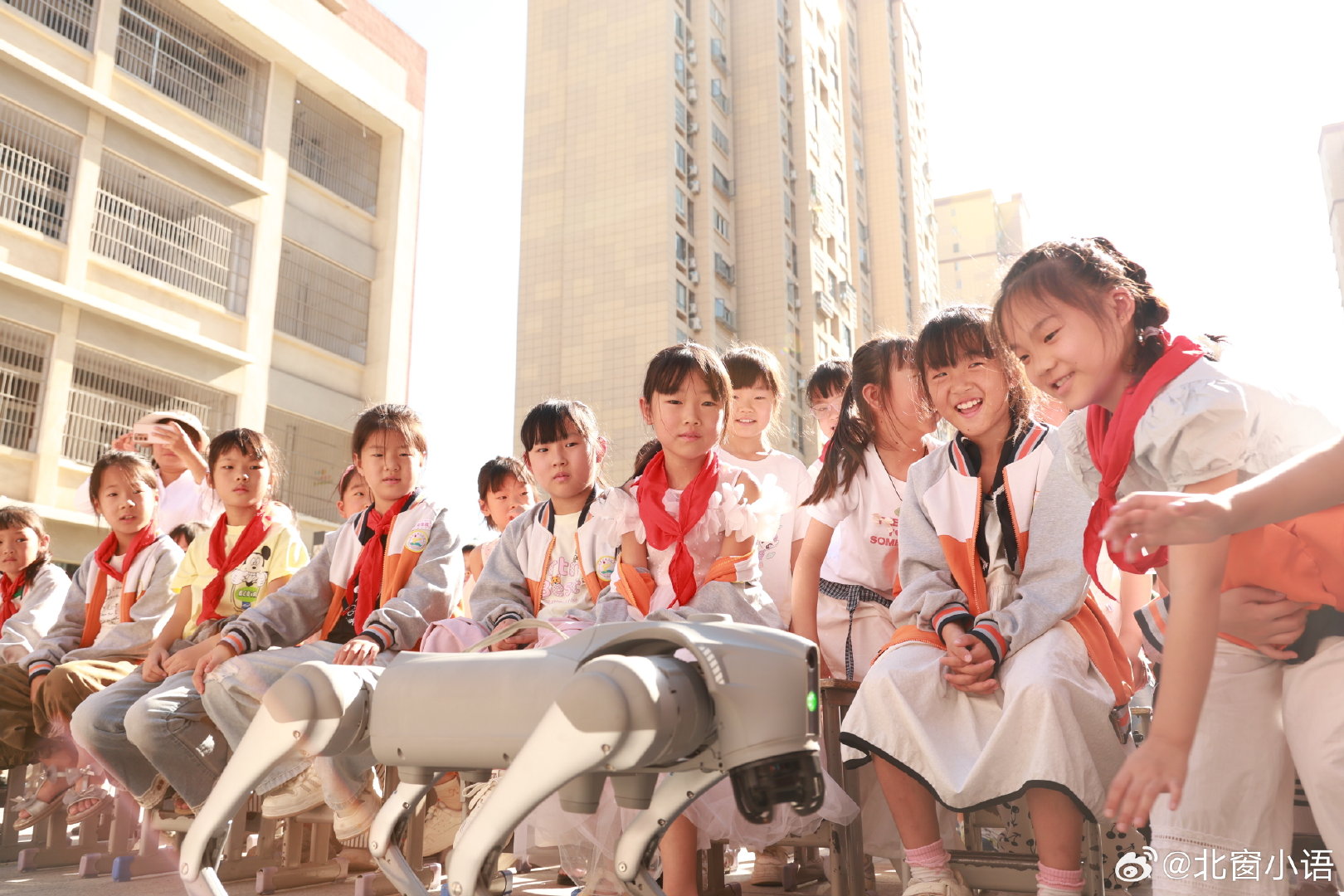 #微界首# 9月1日上午，界首市第三小学开展“科技启航 筑梦未来”主题活动，孩子们聆听人工智能知识讲座，观看机器狗展示，近距离感受科技的魅力，种下一颗科技创新的种子。赵亮 摄 ​