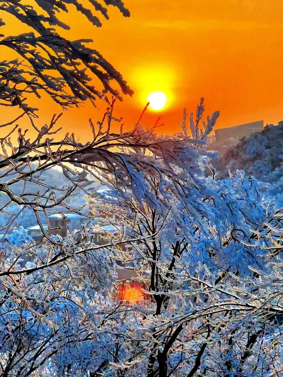 1.22实拍❗️❗️安吉的日落雾凇杀疯啦🥹🥹
