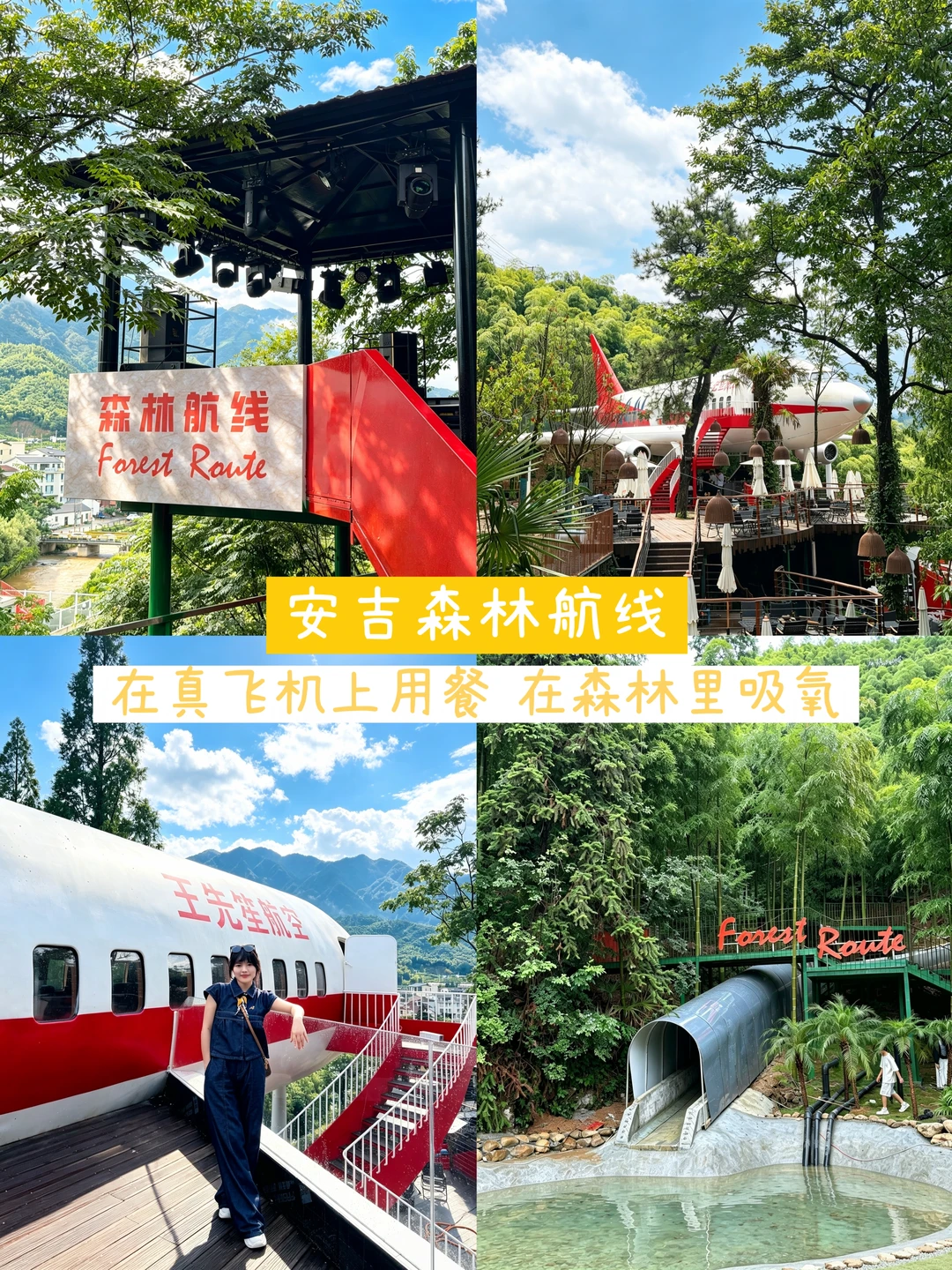 安吉旅游｜坐一次森林航线，闯入竹海避暑！