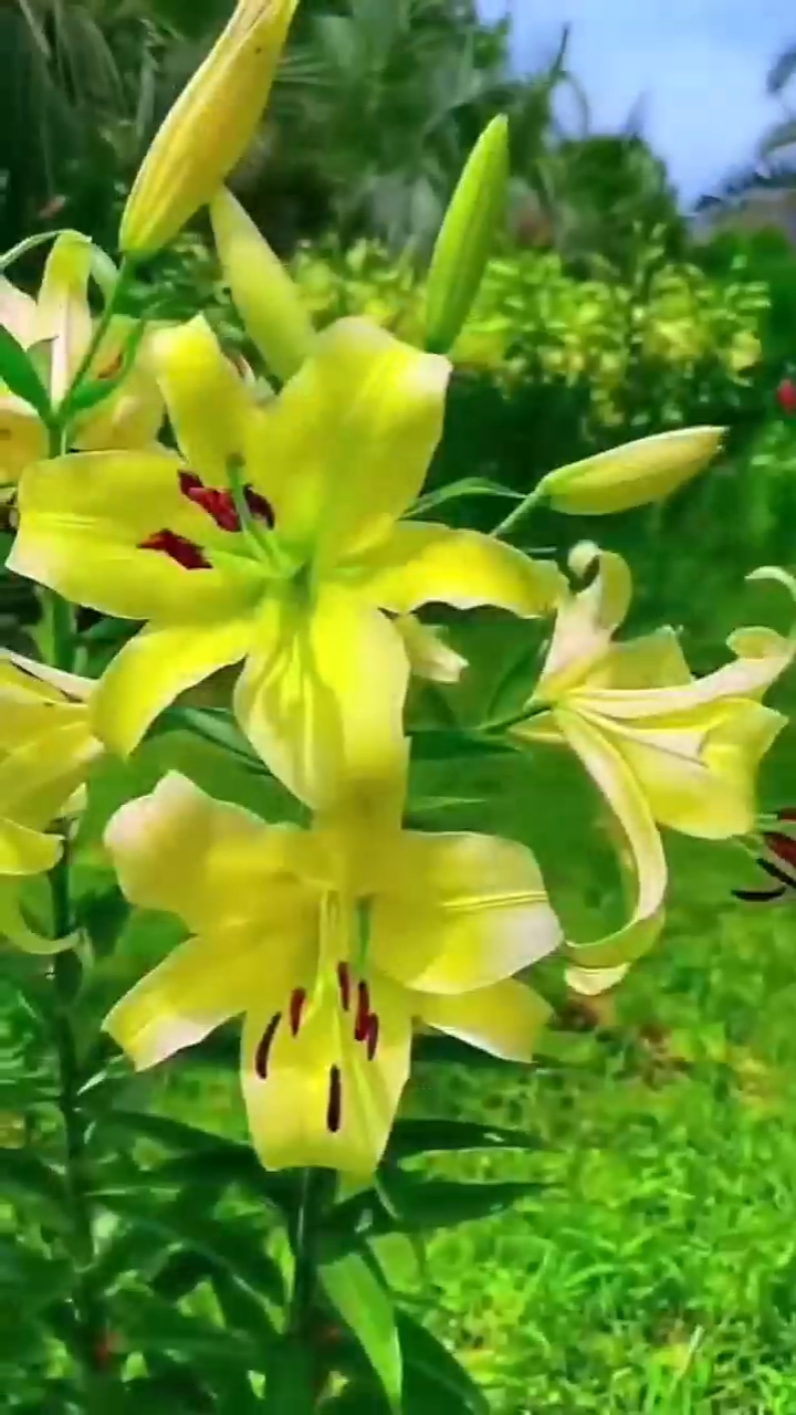 健康和钱比哪一样更重要一样重要，相辅相成，缺一不可，没有健康身体什么都做不了，没有钱想买什么都买不起