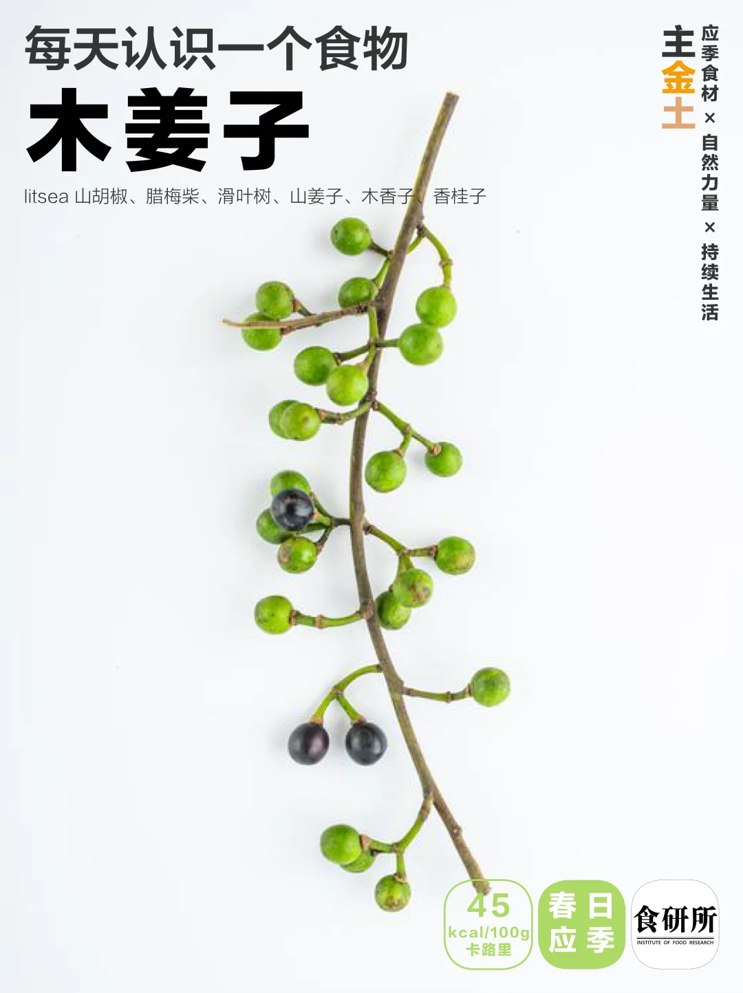 🍅春夏柠檬山气|木姜子🥗