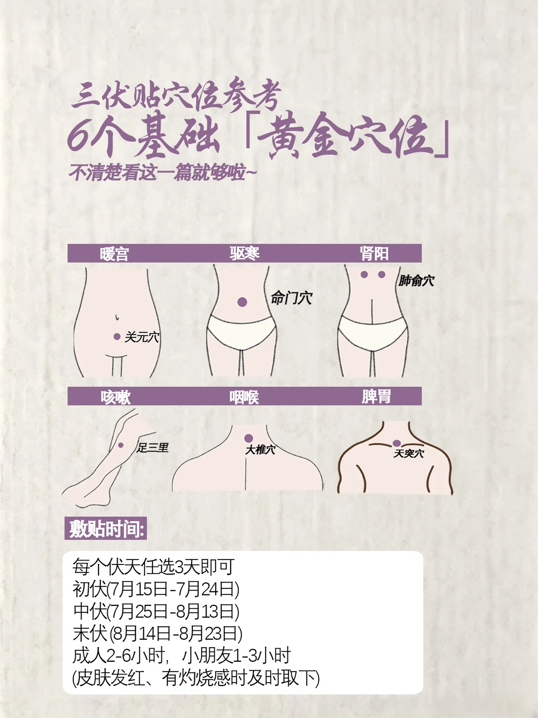 三伏贴穴位参考，6个基础黄金穴位。