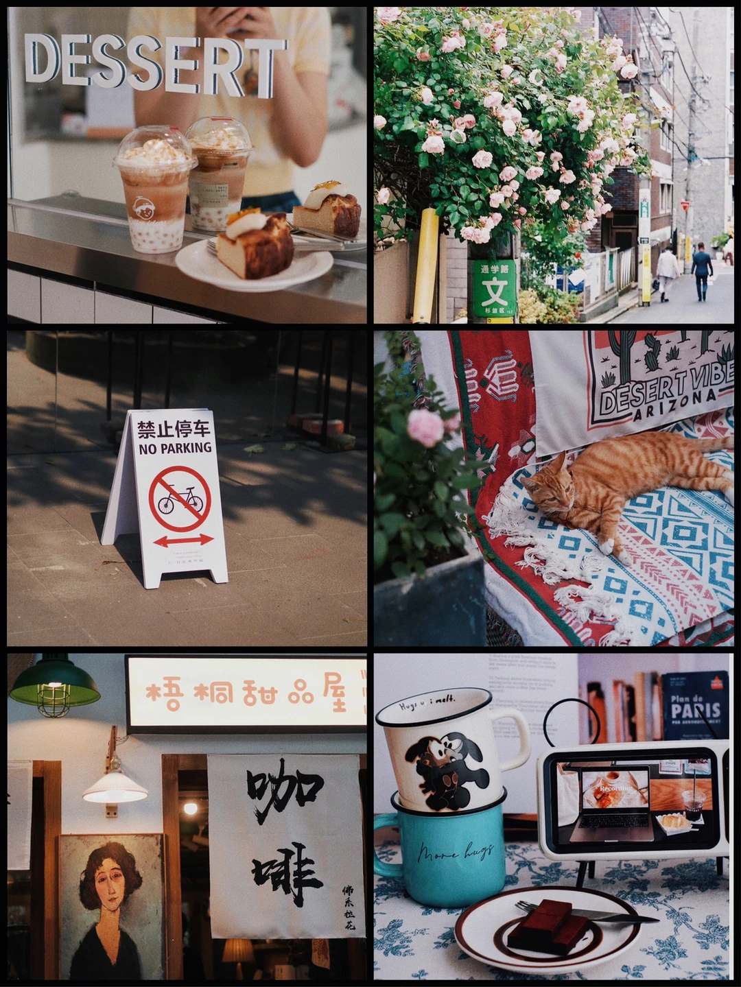 秋天记录🍁这个日系胶片感滤镜也太有质感了