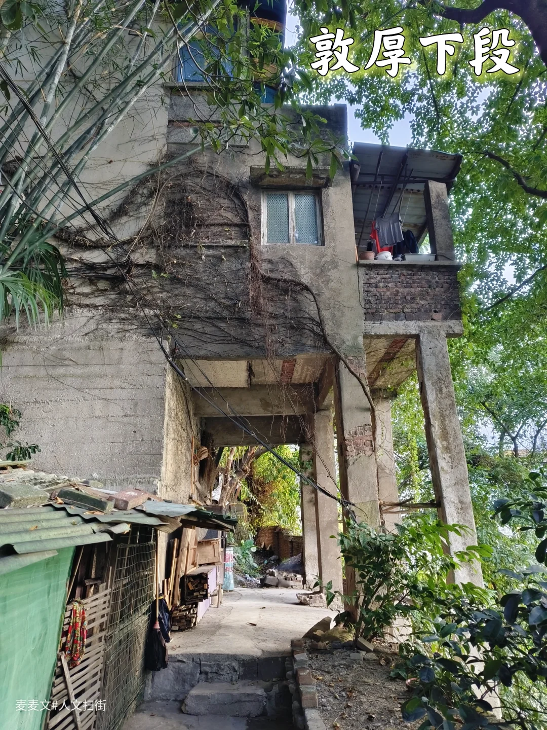 【南岸】摩天双子塔背后的宁静桃源敦厚下段