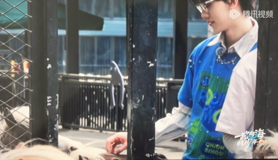 迪士尼公主都是这样跟小动物交流打招呼的呢[可怜][可怜]弯腰跟马儿交流呢[可怜][可怜] ​