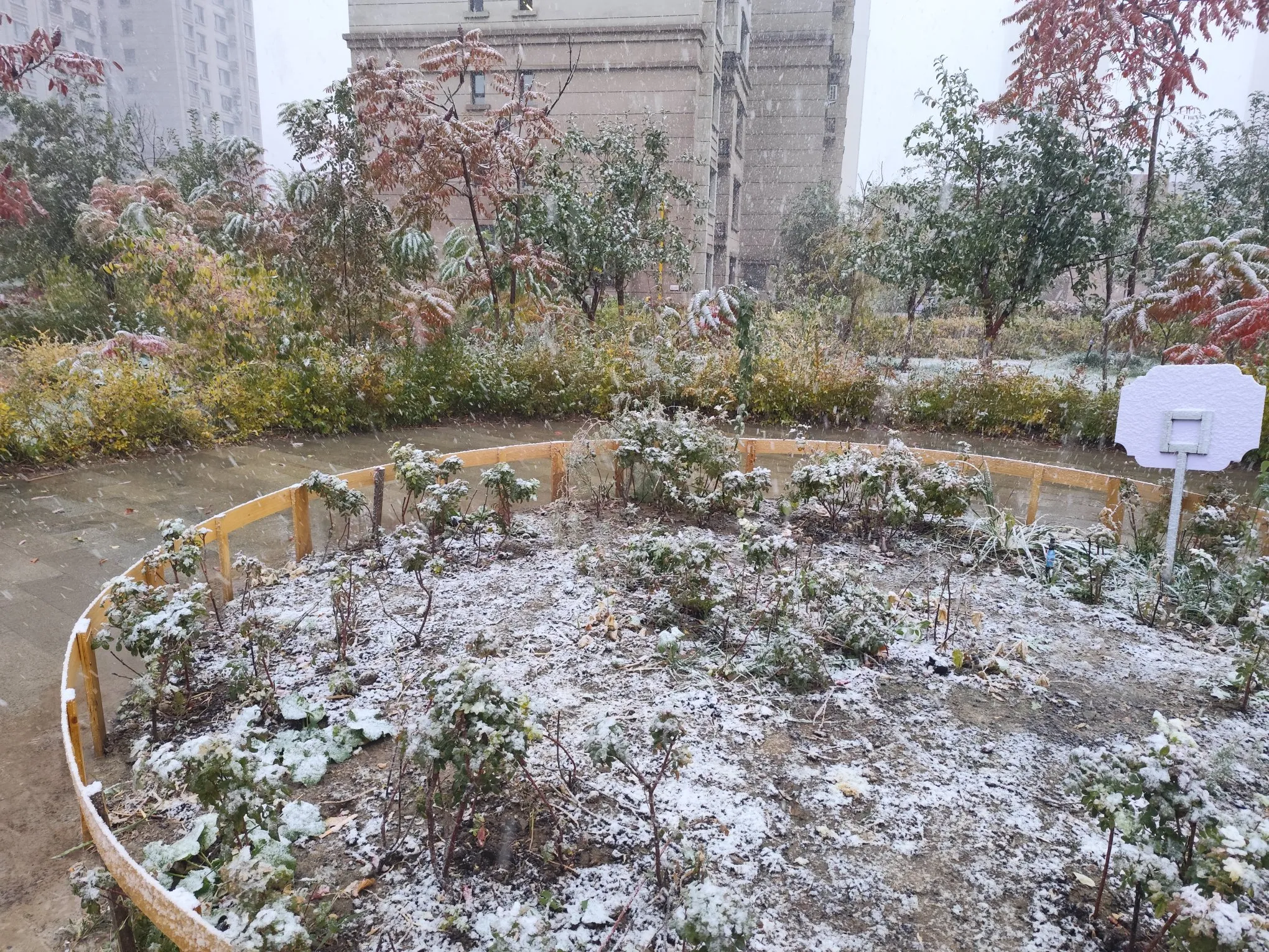 乌鲁木齐今天下午（2026年10月15日）下大雪了，瞬间地面就