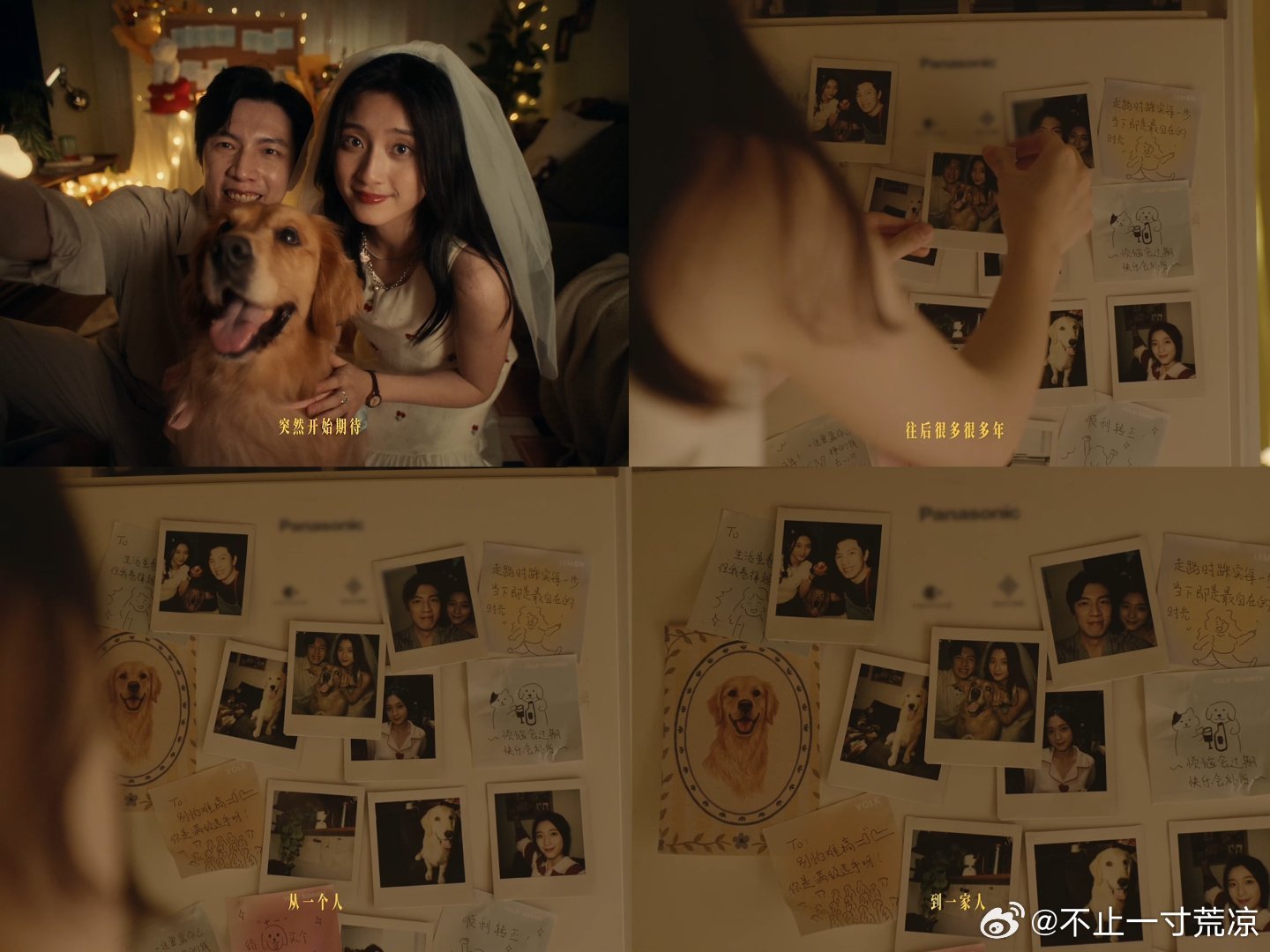 到成熟温柔守护小家，十年岁月改变了周遭一切，却没能改变我认真过日子的...