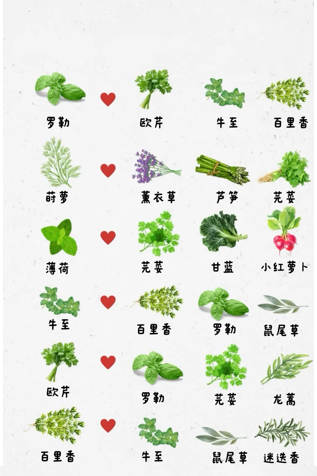 这些搭子植物种在一起，会越长越好