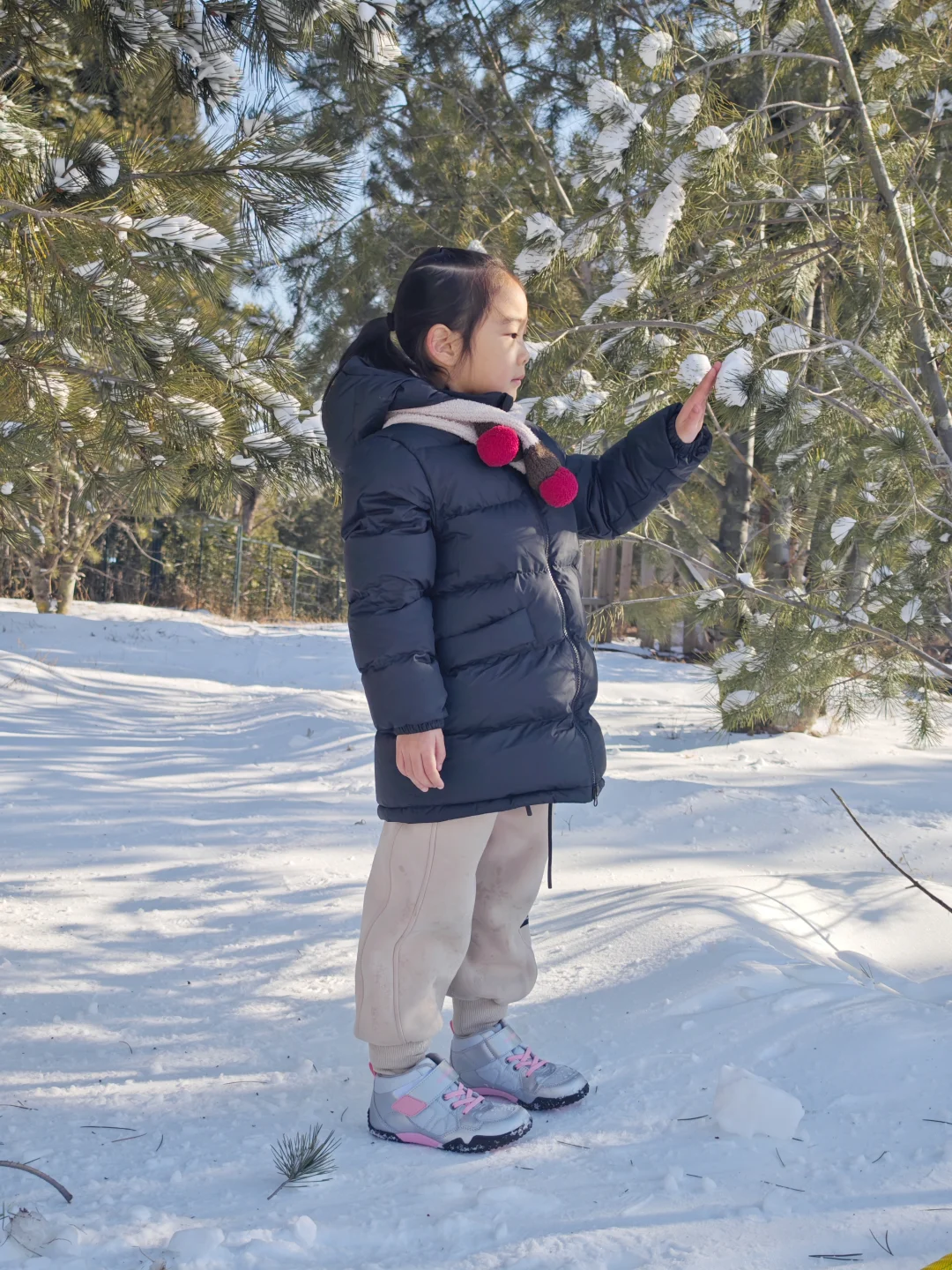冬天不玩雪怎么可以❄️