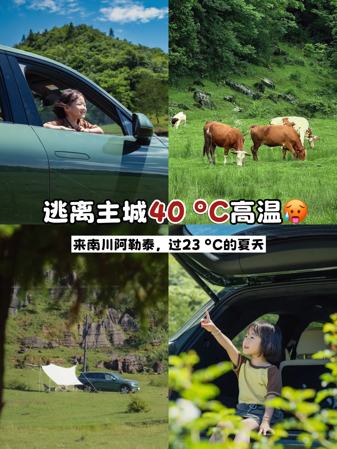 逃离火炉🔥把车直接开到重庆阿勒泰大草原～