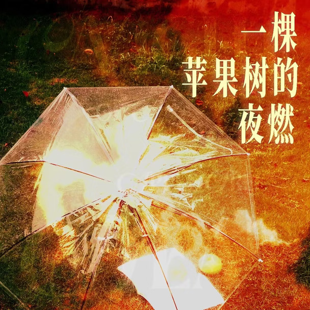 《一棵苹果树的夜燃》（🐯120）