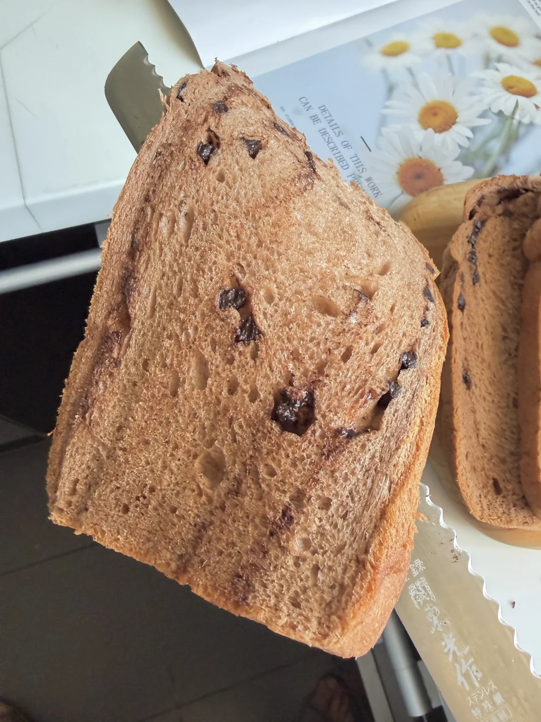 好吃到犯规的巧克力吐司🍞夏日水合法太好用