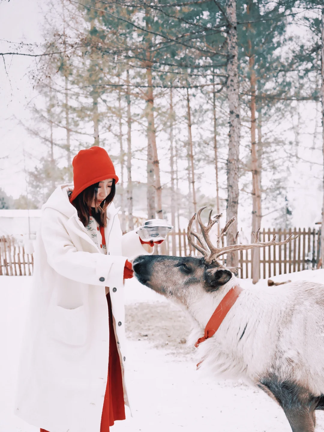 北京周末出逃计划（9/100）📍去长白山入个冬