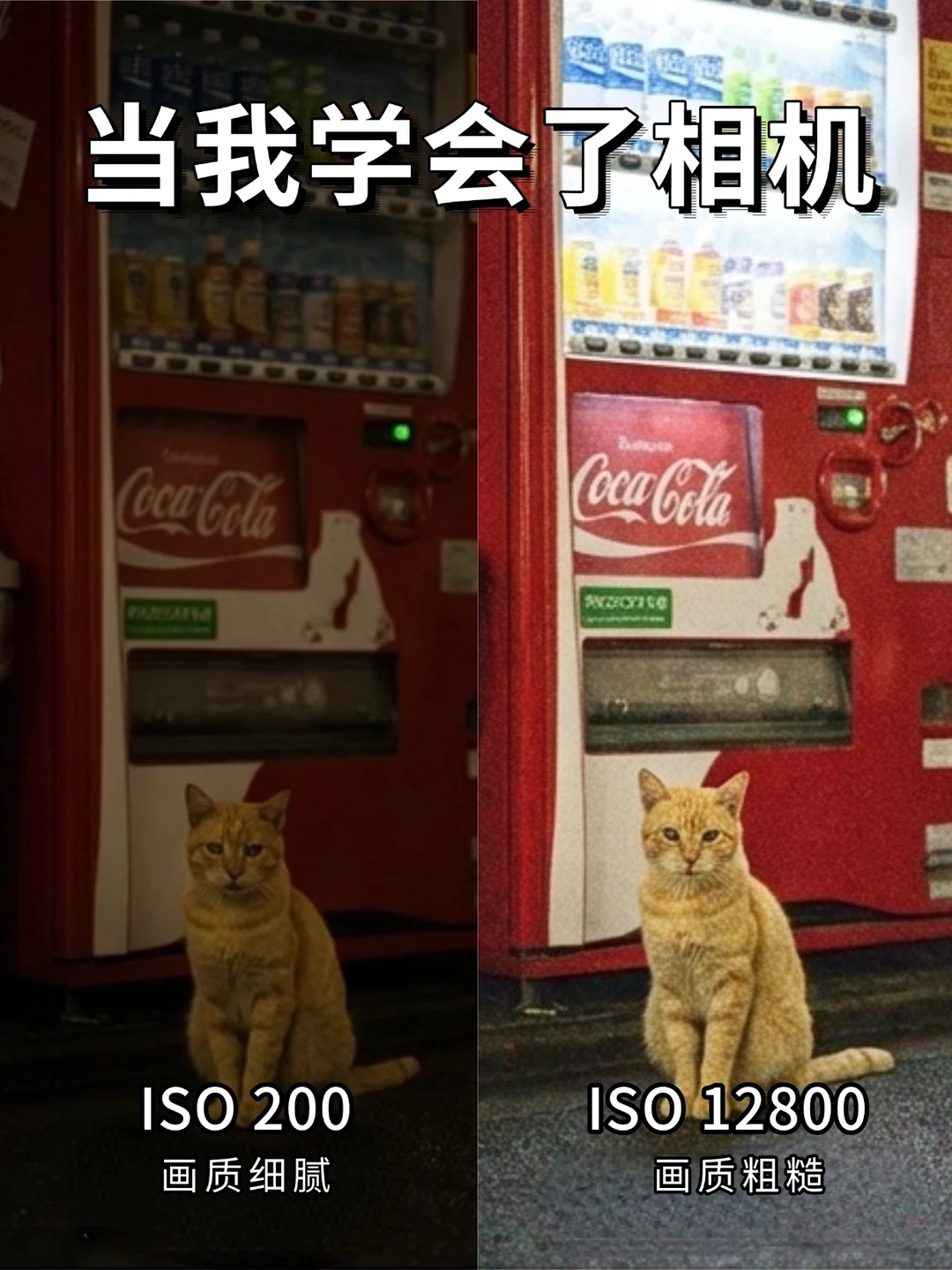 逼自己学完这些，你的摄影会很牛