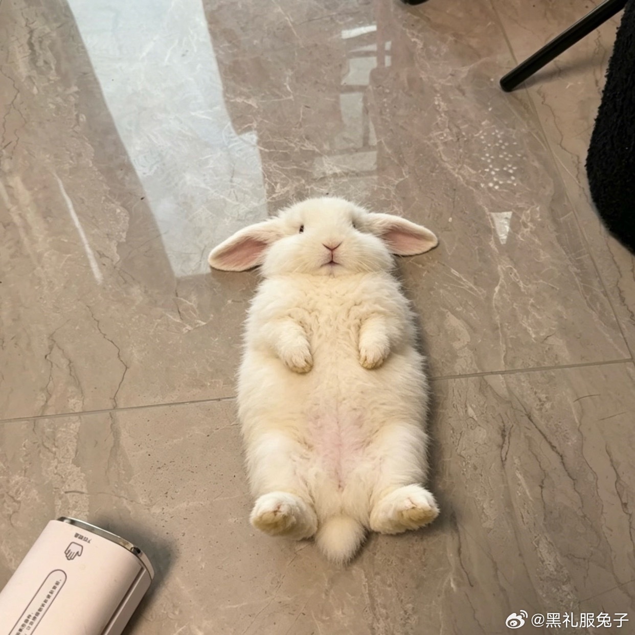 真正的自信是内在的。比如哪怕兜儿里一分钱没有也能不卑不亢，哪怕捡破烂也...