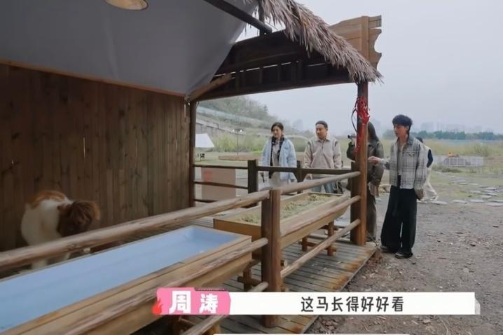 哈哈哈马嘉祺之前回复宋亚轩的那个表情包呢，感觉也可以回复小贺了：真想踹...