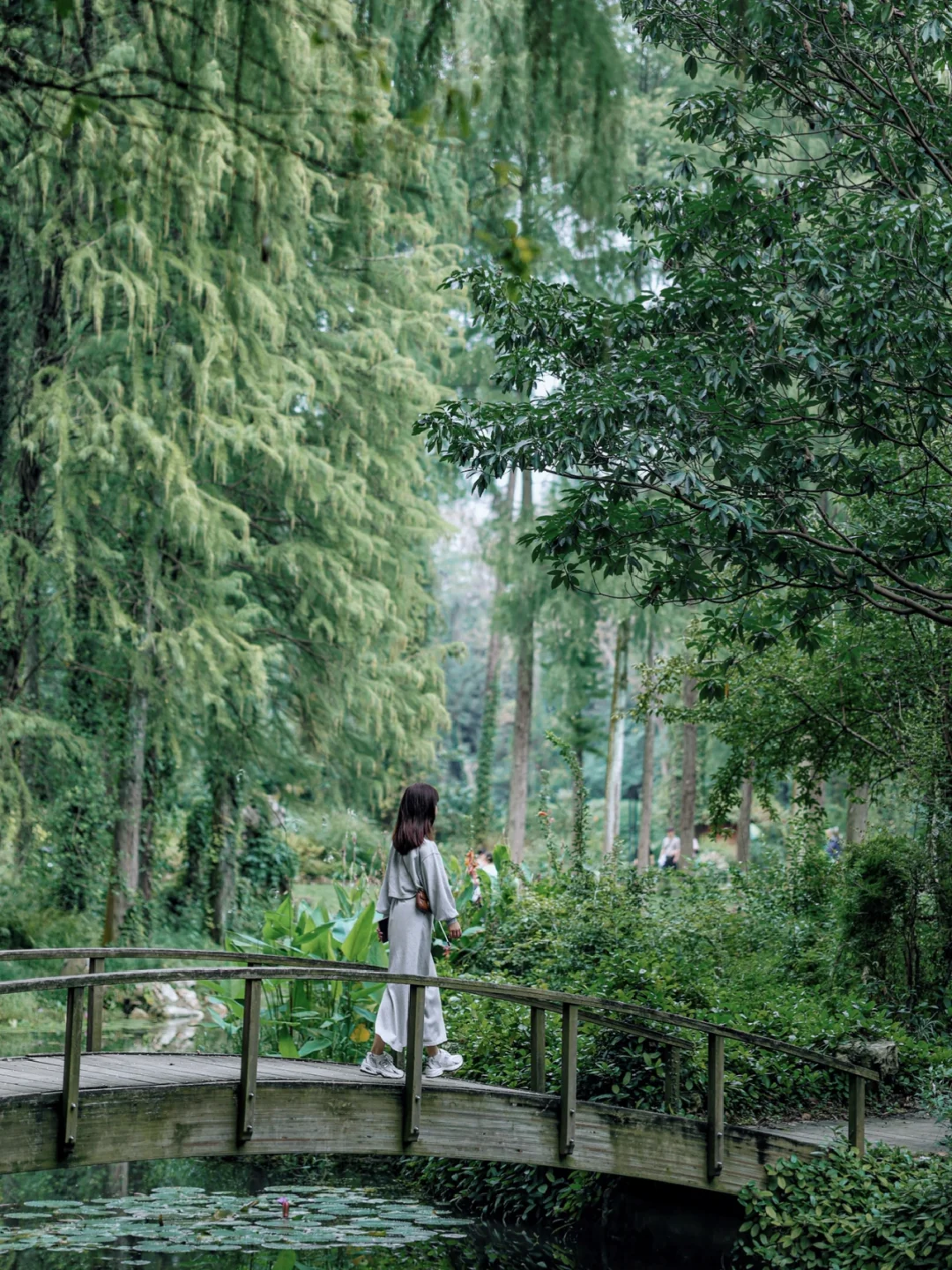 人生建议:在武汉一定要去一次的治愈森林🍃