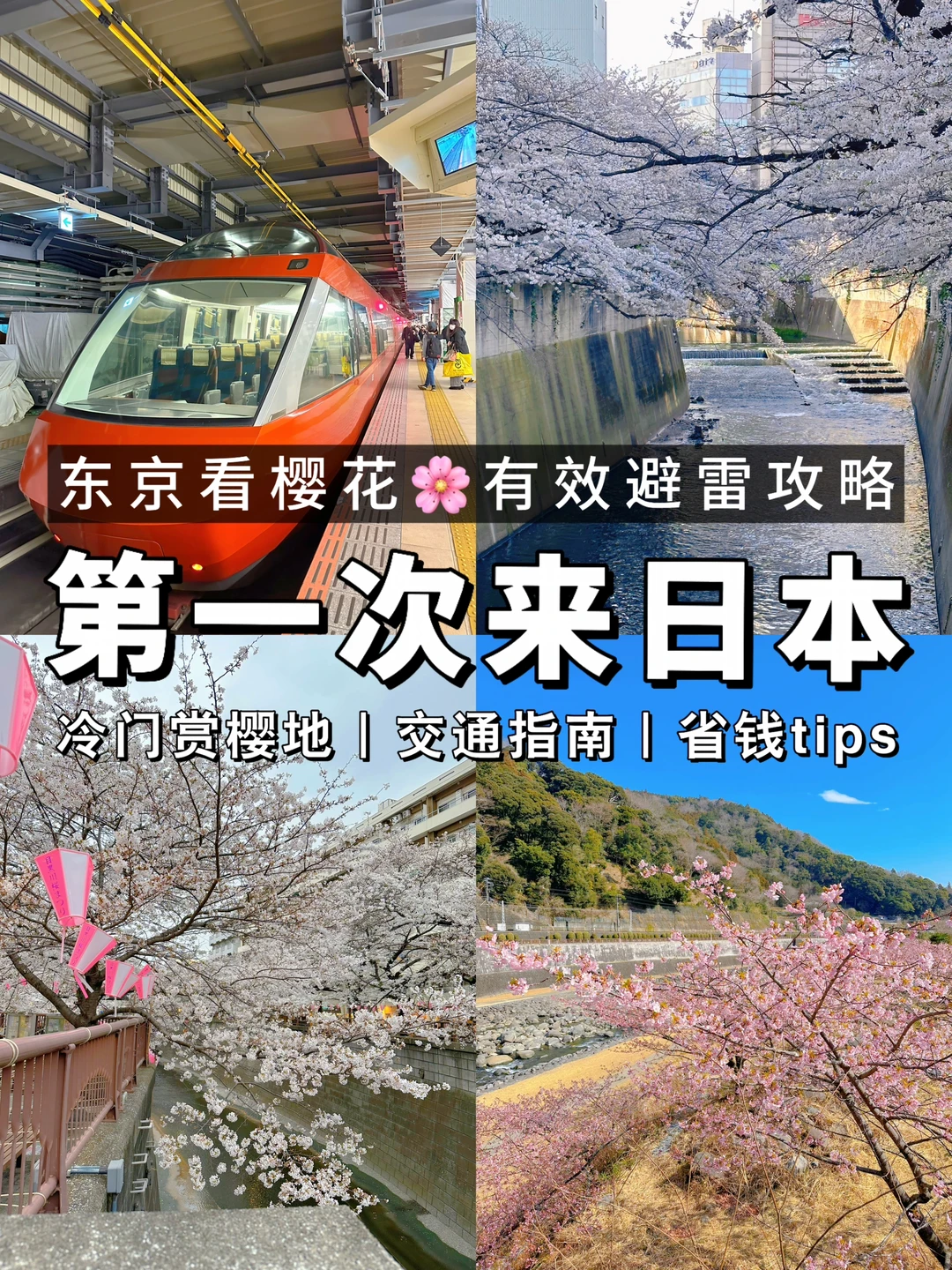假如第一次来东京看樱花🌸日本旅行避雷必看