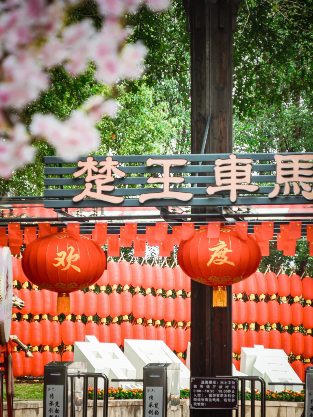 北有秦皇兵马俑 南有楚王车马阵🌈❤️