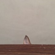 莱健赏科技