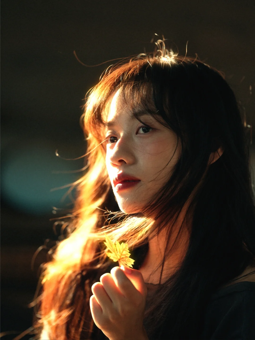 又是一年秋🍂