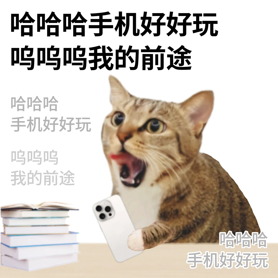 根本没人知道我顶着多大压力在玩