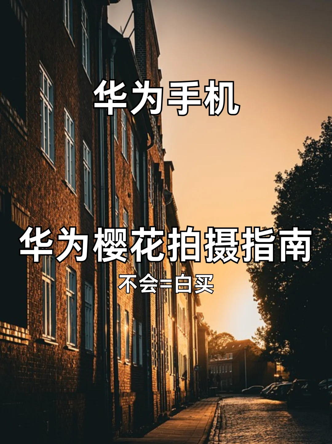 绝了❗华为手机拍花卉教程❗
