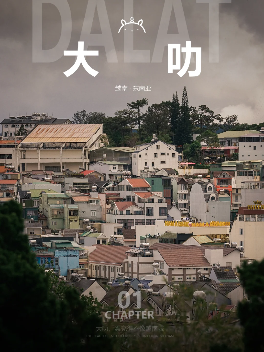 什么是大叻01|年度松弛感小城，我投它一票