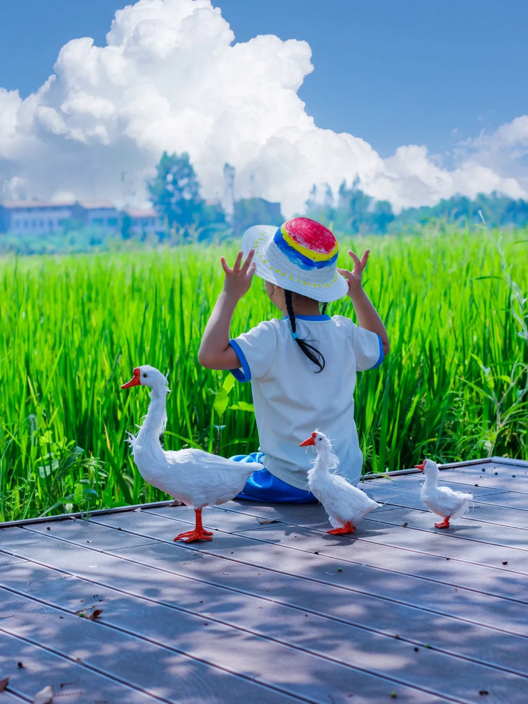 这是宫崎骏的夏天，武汉1.5h直达的稻田民宿