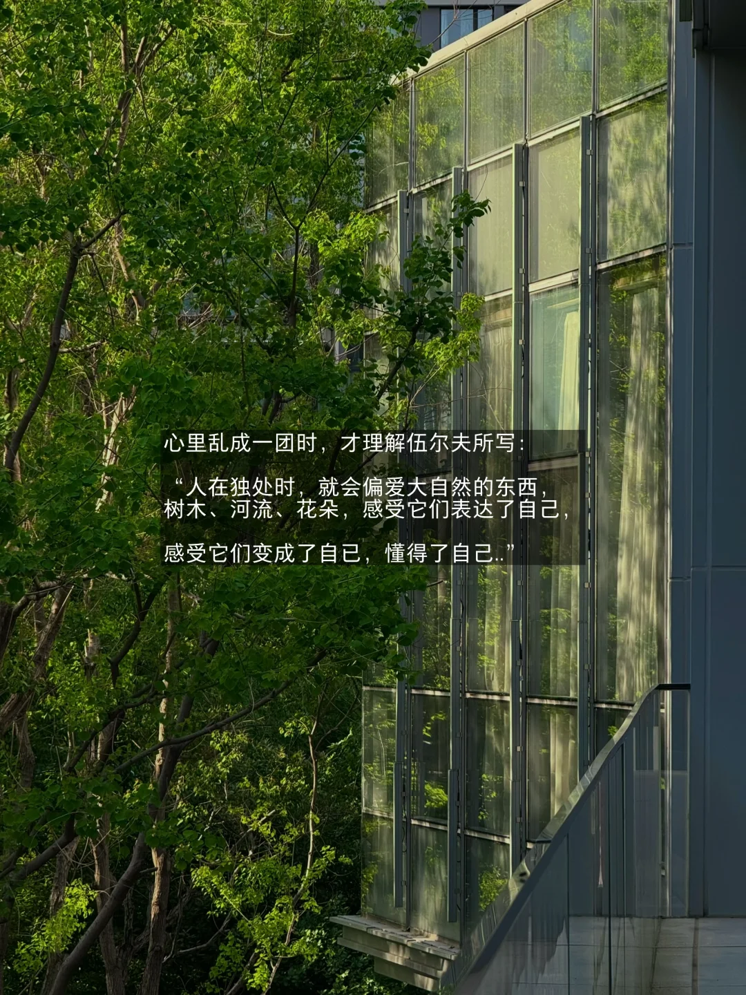 人总会在自然中长出新的自己。