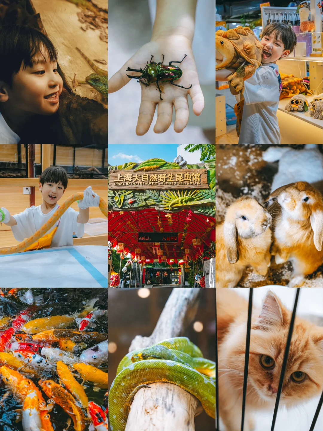 🔥上海一日游攻略｜谁还没去这个宝藏乐园