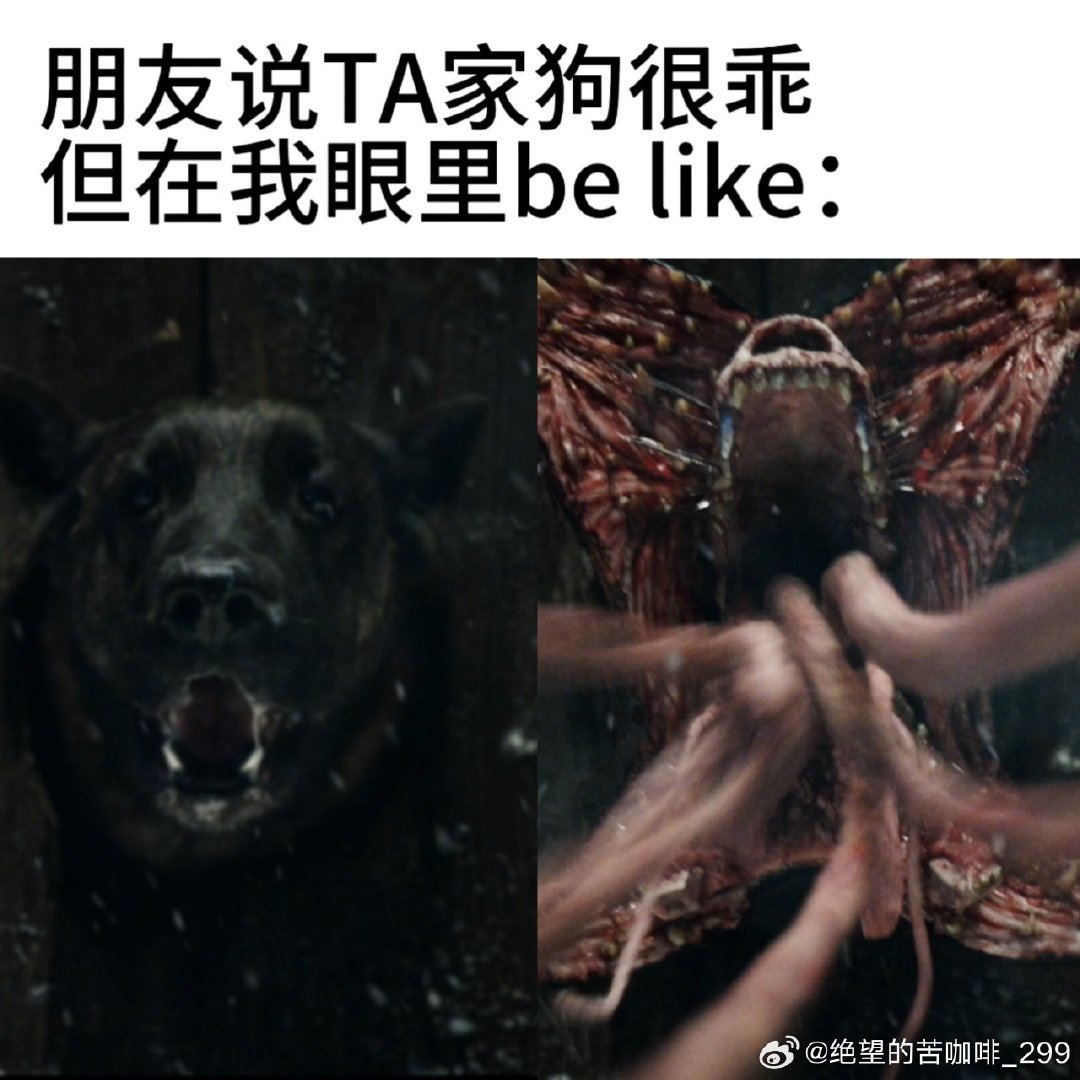 #生化危机爆发夜内地版画面处理#纠结版本差异的影迷可以放心，《生化危机：爆发夜》内地版只是小幅调整部分镜头，主线故事完整保留，惊悚氛围没有削弱，大银幕依旧能感受紧张刺激的观影体验。 ​