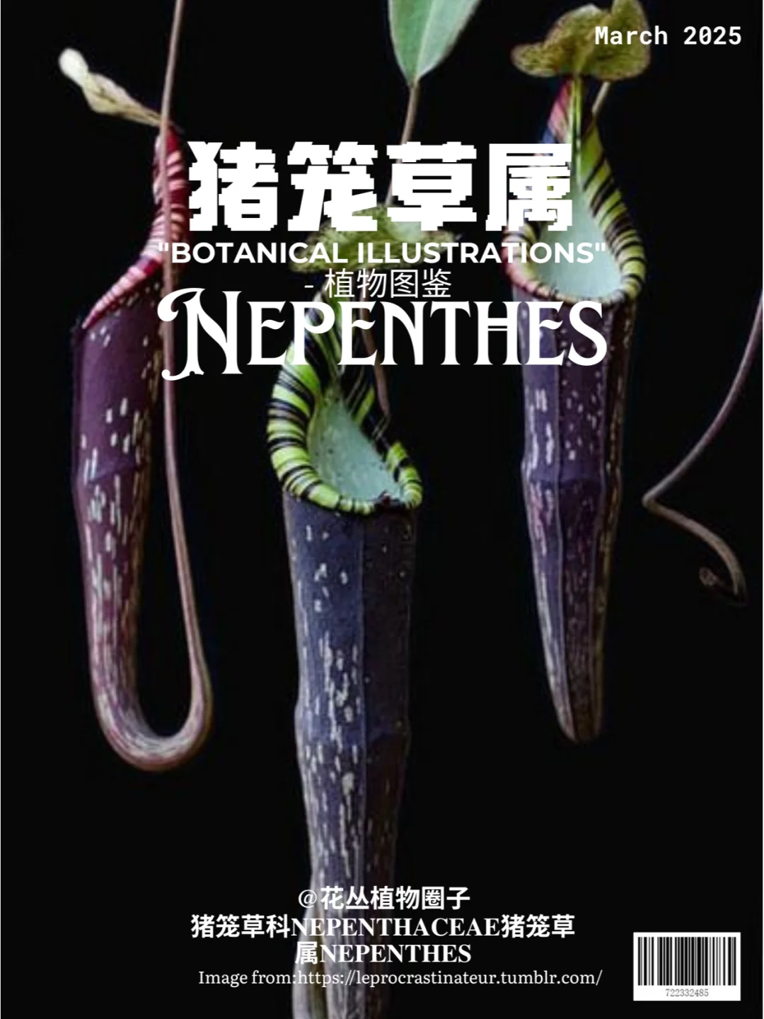 猪笼草属Nepenthes植物图鉴