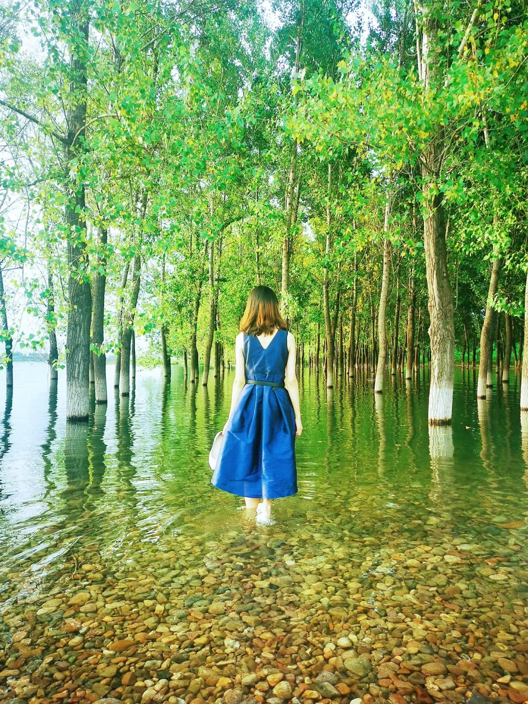 水上森林又又又可以去了🍃免费露营天花板‼️