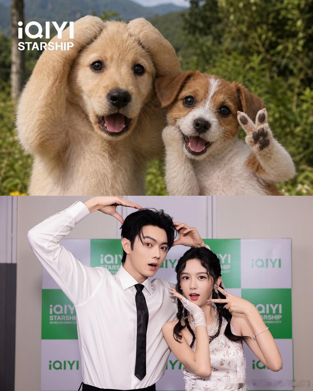 一起可可爱爱，奇奇怪怪～🐾🥰 
#爱奇艺##爱奇艺星舰计划##一瓯春##许凯##周也#
（按姓氏笔画排序） ​​​