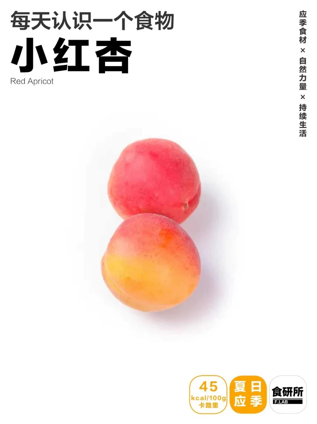 小红杏|夏天一直在等新疆水果