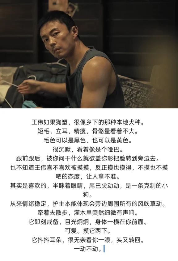很喜欢把所有武力值高的角色狗塑