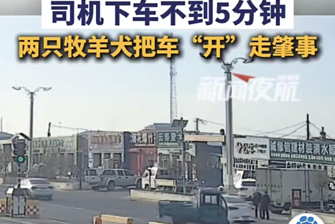 “人在家中坐，车祸天上来”，黑龙江一起交通事故让人忍不住想笑。前两天...