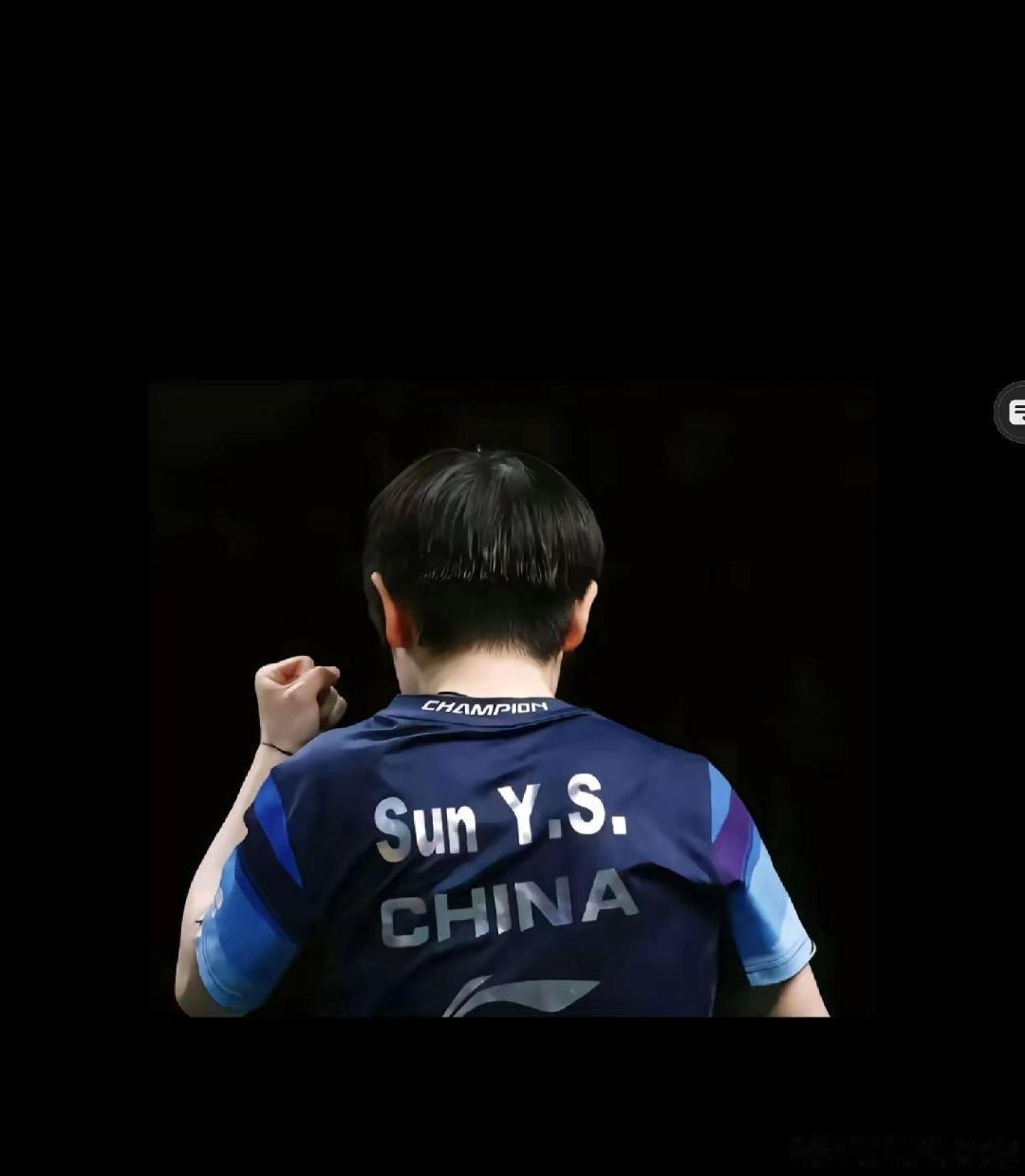 家门口的河北运动会，莎莎第九棒火炬手！莎莎不仅是河北人民的骄傲，更是中国人民的骄傲！#竞技时刻##微博视频精选大赏# ​