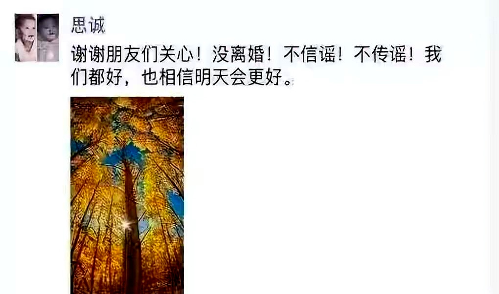 当年陈思诚被推上风口浪尖，全网都在催佟丽娅果断离婚，甚至骂她懦弱窝囊，时隔多年大家才看懂，一个当妈的女人根本没资格图一时痛快
 

当时孩子那么小，两人的事业人脉全绑在一起，真要脑子一热当场撕破脸，除了给看客贡献谈资，孩子和自己的饭碗全得搭进去。朋友圈那句“丫丫加油”，从来不是原谅妥协，是在黑夜里咬