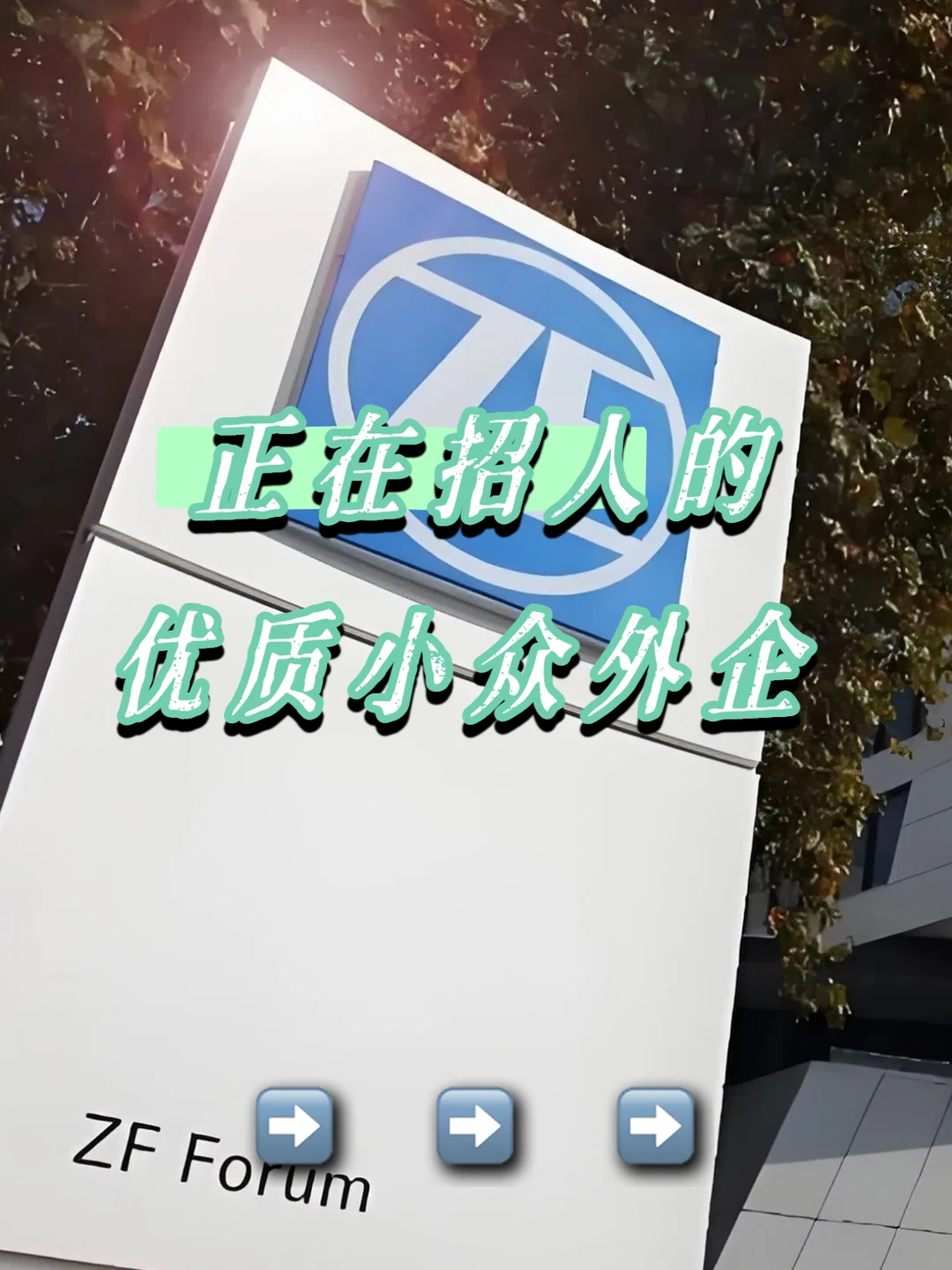 没人知道的优质外企 list！