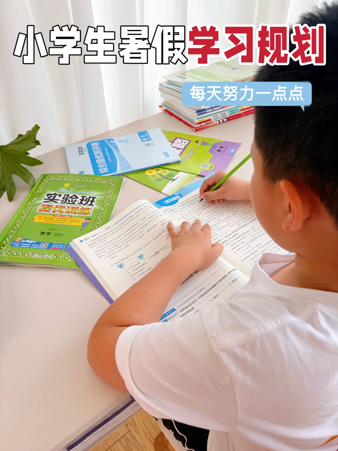小学生的暑假学习规划
