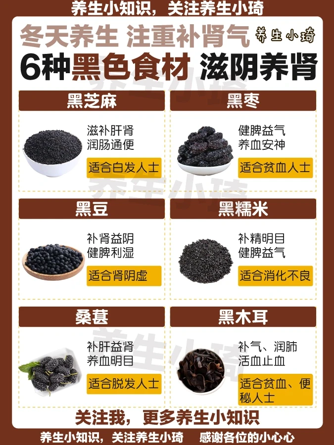 6大黑色食物｜滋阴养肾 补肾气｜冬天宜补肾